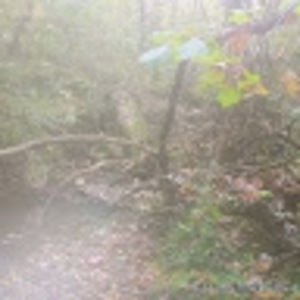 Meet your Posher, Misa